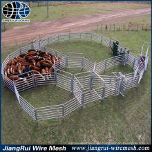 Best Selling Produkte Super Cattle Panels zum Verkauf